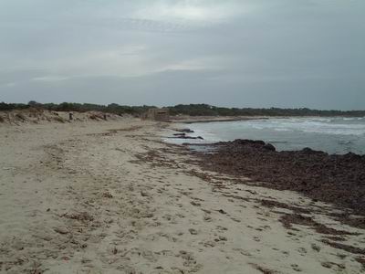 DSCF0082.JPG